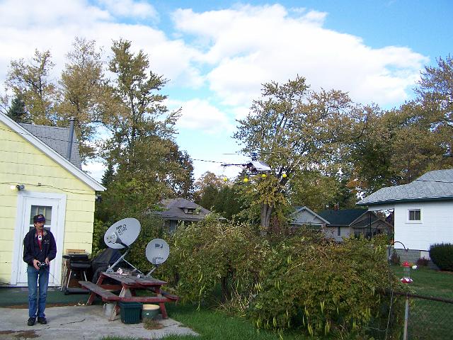 T-rex 025.jpg